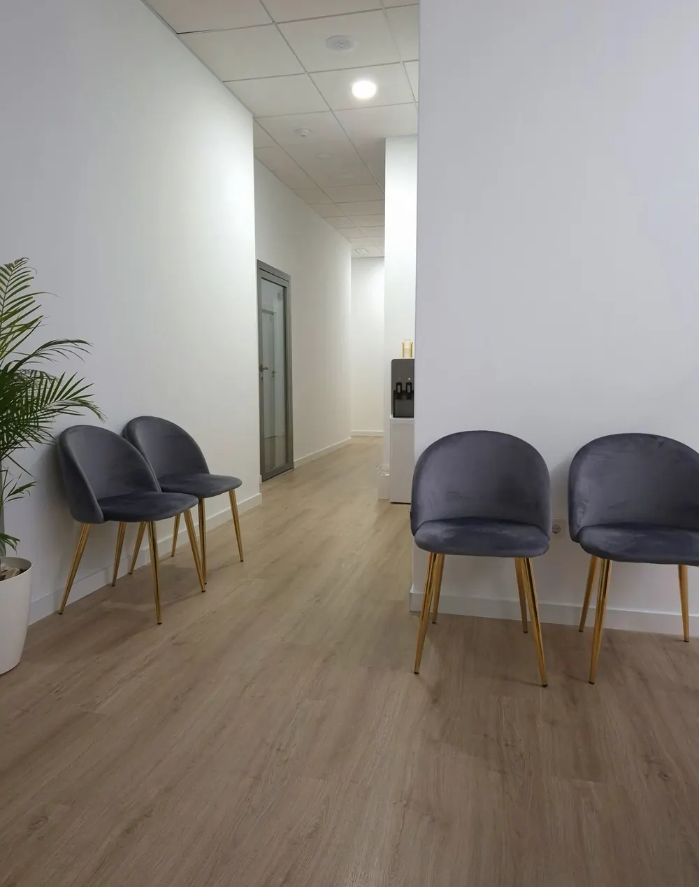 Zona de espera de un espacio profesional con suelo laminado roble y techo técnico